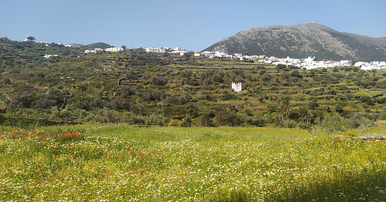 Άνοιξη στη Σίφνο